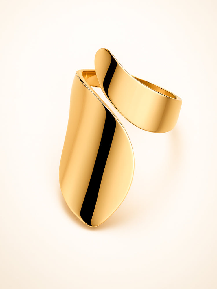 Anillo Flow