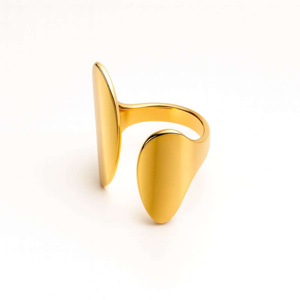 Anillo Dual