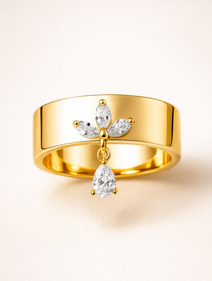 Anillo Project