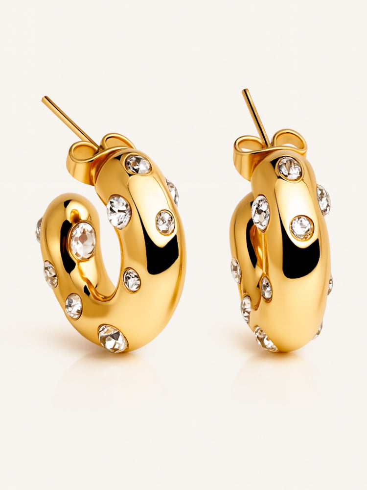 Pendientes Aro Winney