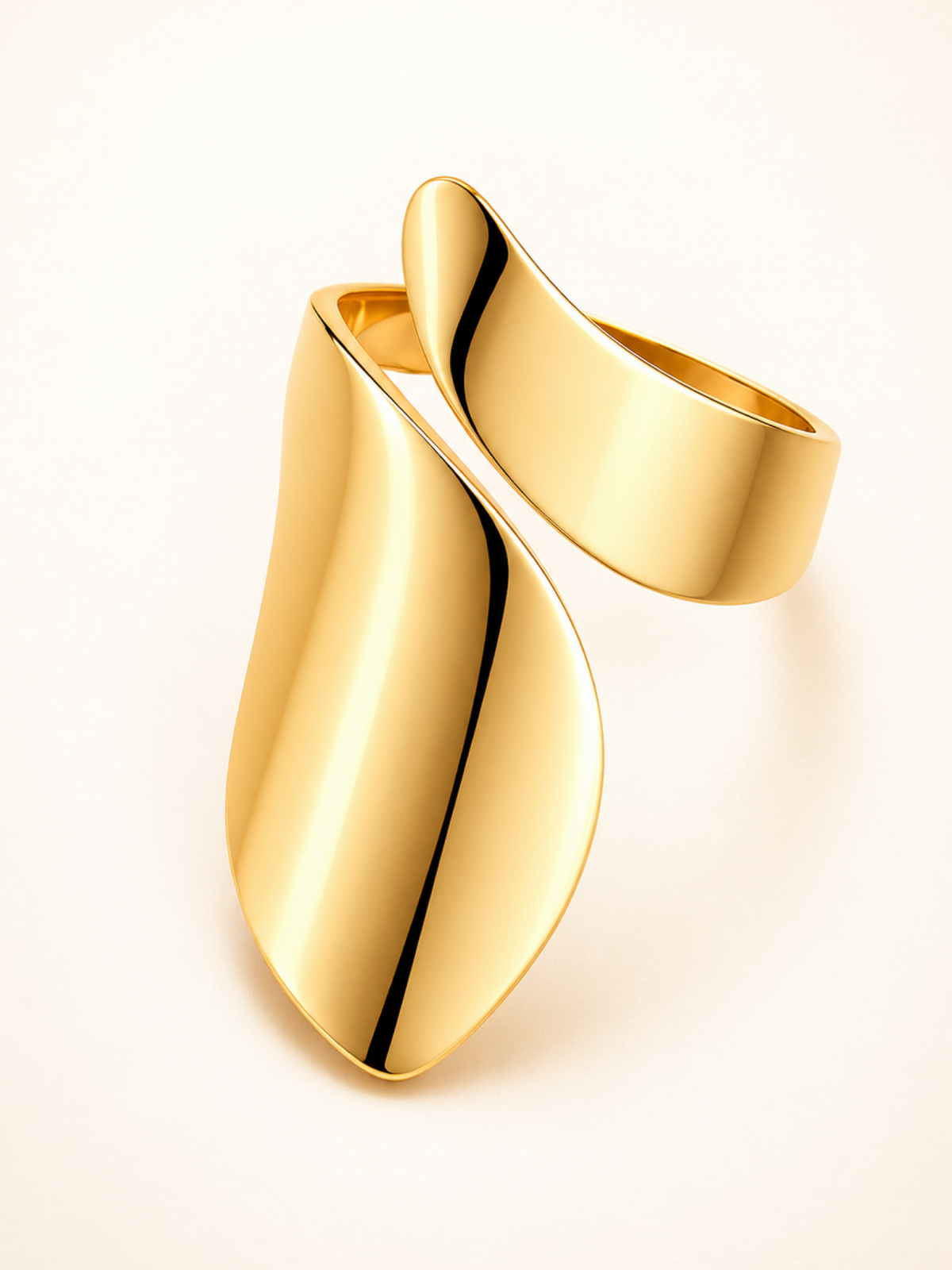 Anillo Flow