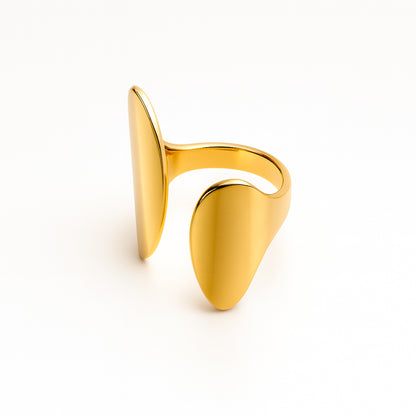 Anillo Dual