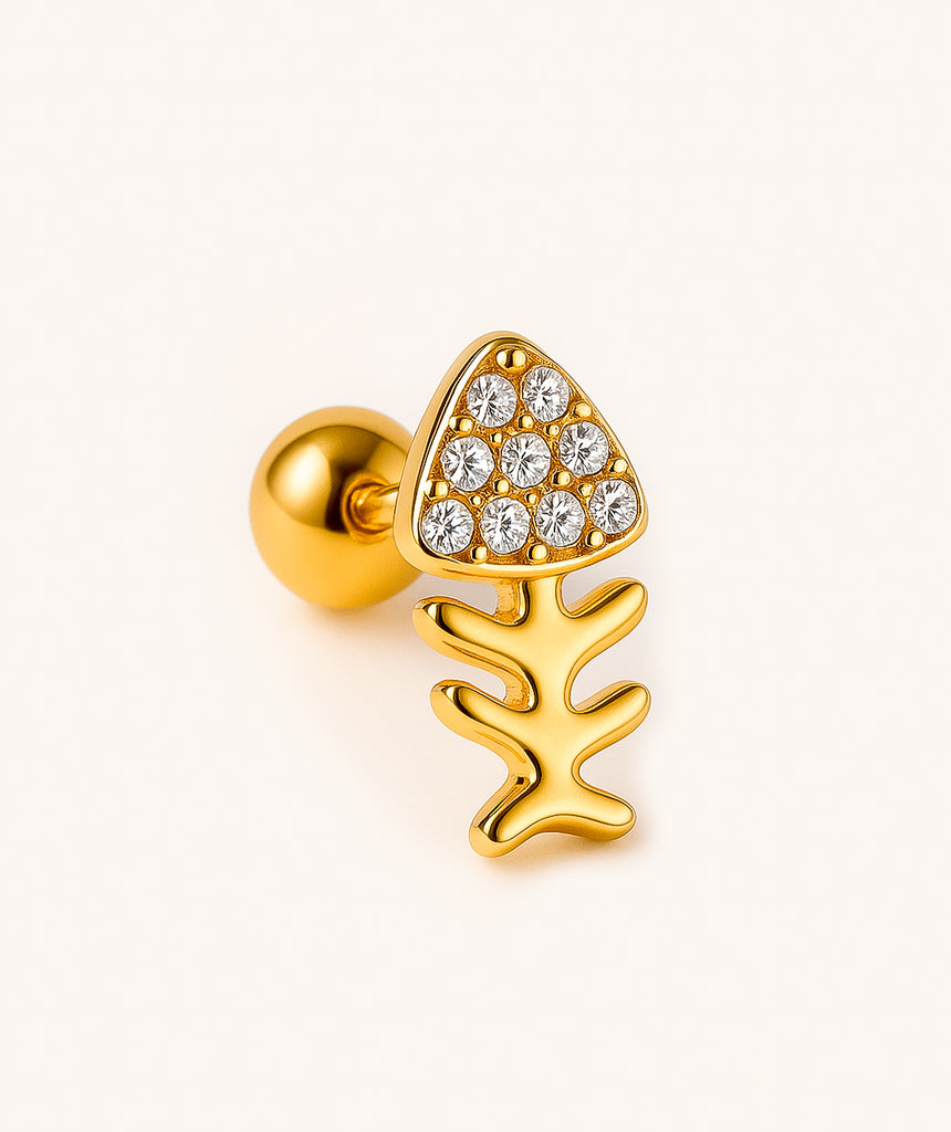 Piercing Fish – LOWLITA&U