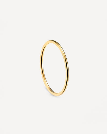 Anillo Basic