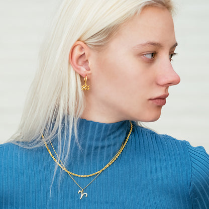 Collar Aries
